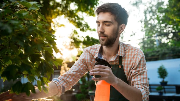 El mejor secreto para mantener el limonero fuerte y libre de enfermedades: cómo preparar y usar la mezcla de agua con bicarbonato