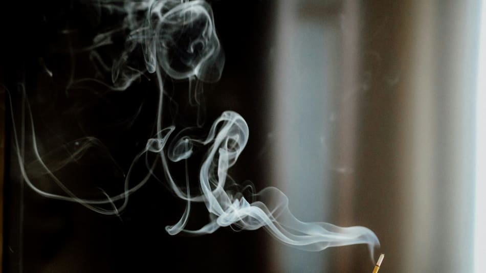 Cuál es el aroma que atrae el amor. Foto Unsplash.
