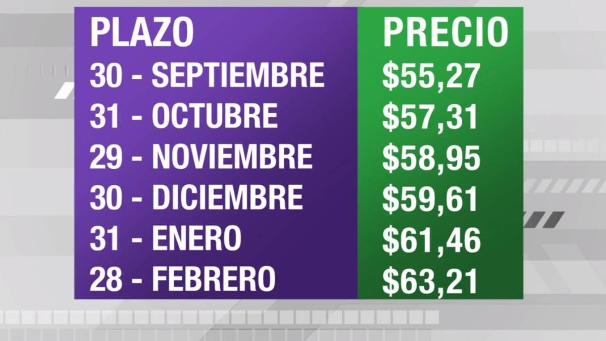 Dólar futuro, cotizaciones septiembre 2019 febrero 2020, economía argentina, CANAL 26