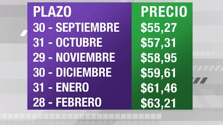 Dólar futuro, cotizaciones septiembre 2019 febrero 2020, economía argentina, CANAL 26
