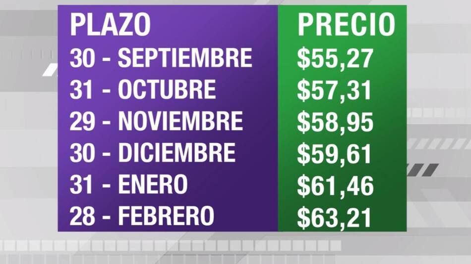 Dólar futuro, cotizaciones septiembre 2019 febrero 2020, economía argentina, CANAL 26