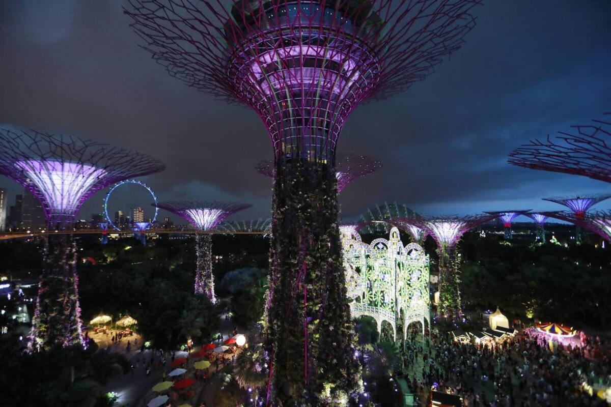 Navidad - festejos