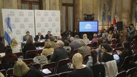 Debate en el Senado por el aborto legal (NA)
