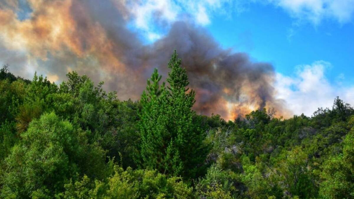 Incendio forestal en el Bolsón