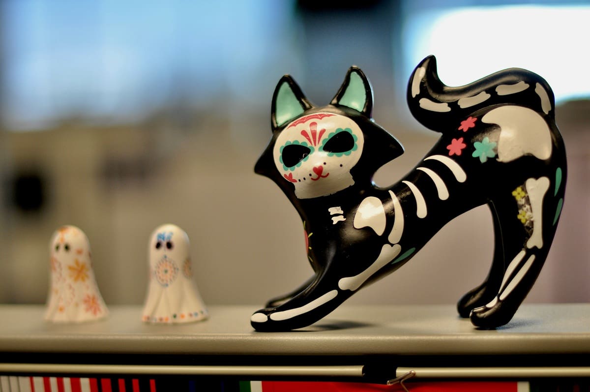 La tradición mexicana indica que el 27 de octubre es la fecha en la que las almas de perros, gatos y otros animales de compañía regresan al mundo terrenal para reencontrarse simbólicamente con sus dueños.