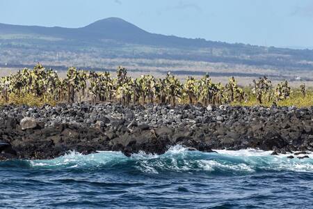 Islas Galápagos. Foto: Archivo NA