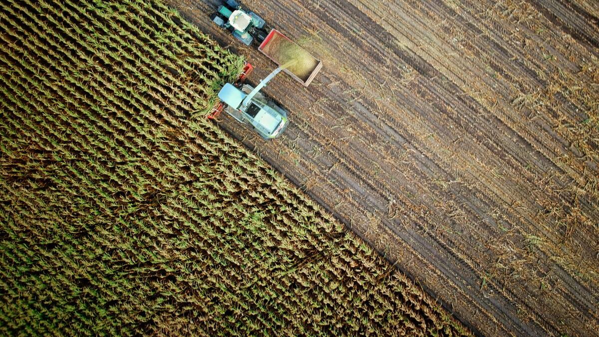 agroalimentos. Fuente: Unsplash