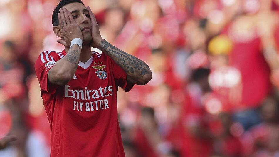 Ángel Di María en el Benfica. Foto: EFE/TIAGO PETINGA