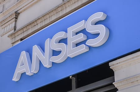 ANSES. Foto: NA