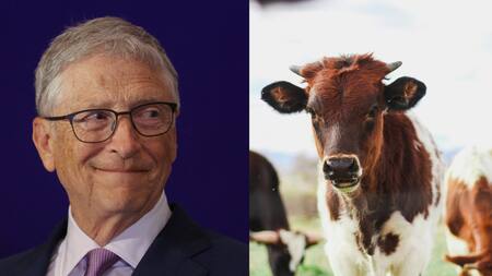 Bill Gates y su plan para remplazar a las vacas. Foto: Reuters | Unsplash