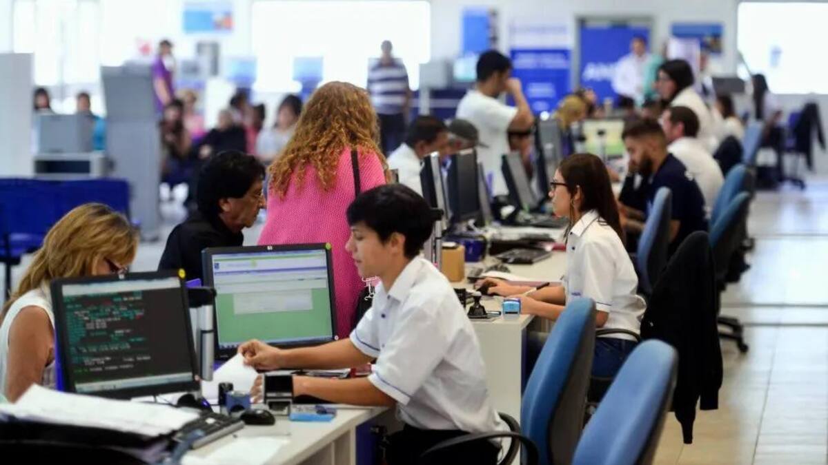 ANSeS, trámites, atención al público