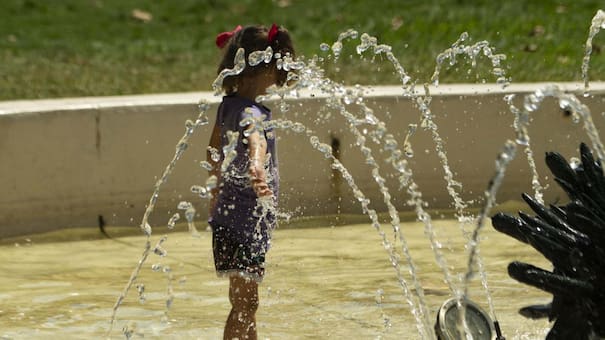 Ola de calor en Argentina: cómo ver las localidades más calurosas del país, en tiempo real