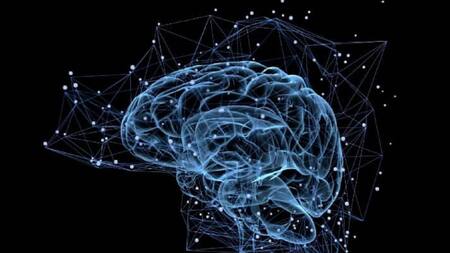 Líquido cerebral” que mejora la memoria