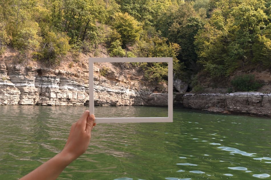 Cuadro, naturaleza. Foto: Freepik.