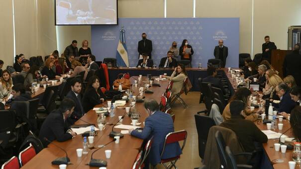 Miércoles de acción en Diputados: Comisiones con agenda recargada