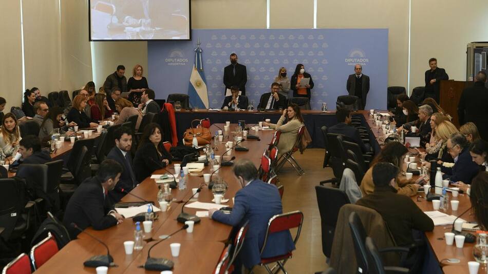 Diputados, comisiones, Congreso, NA