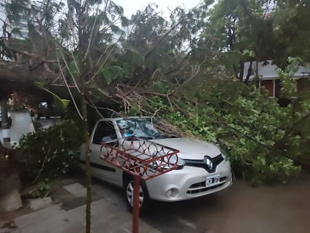 Temporal en Bahía Blanca. Foto: X