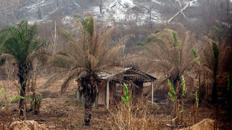 Incendios forestales en Bolivia. Foto: EFE.