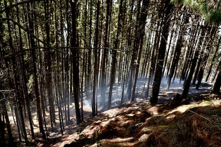 Incendios en Bogotá. Foto: EFE