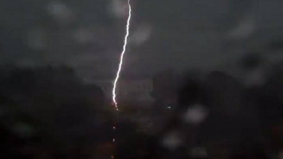 Rayo. Foto: NA.