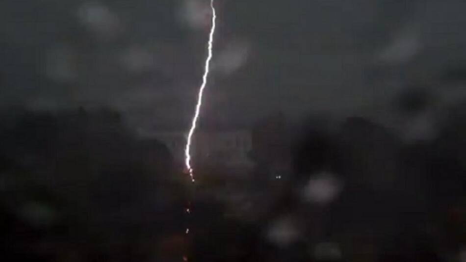 Rayo. Foto: NA.