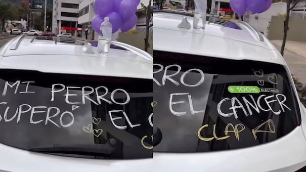 Emoción y alegría: un perrito superó el cáncer y su dueño lo festejó con una caravana que se viralizó en redes