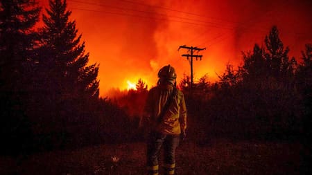 Los incendios forestales en la Patagonia arrasaron casi 49.000 hectáreas y cruzaron la frontera con Chile