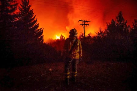 Incendios forestales en la Patagonia. Foto: EFE (Greenpeace)