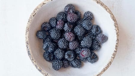 Moras. Foto Unsplash.