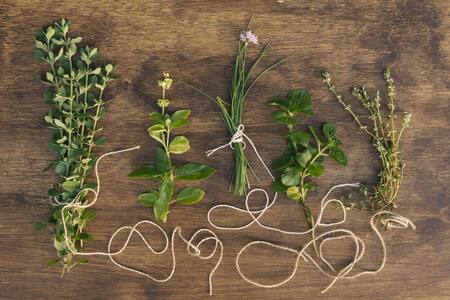 Hierbas medicinales. Foto Freepik