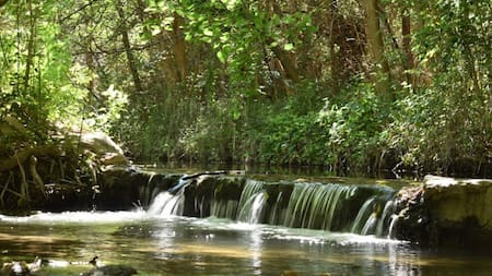 Villa de Las Rosas. Foto: captura Google Maps.