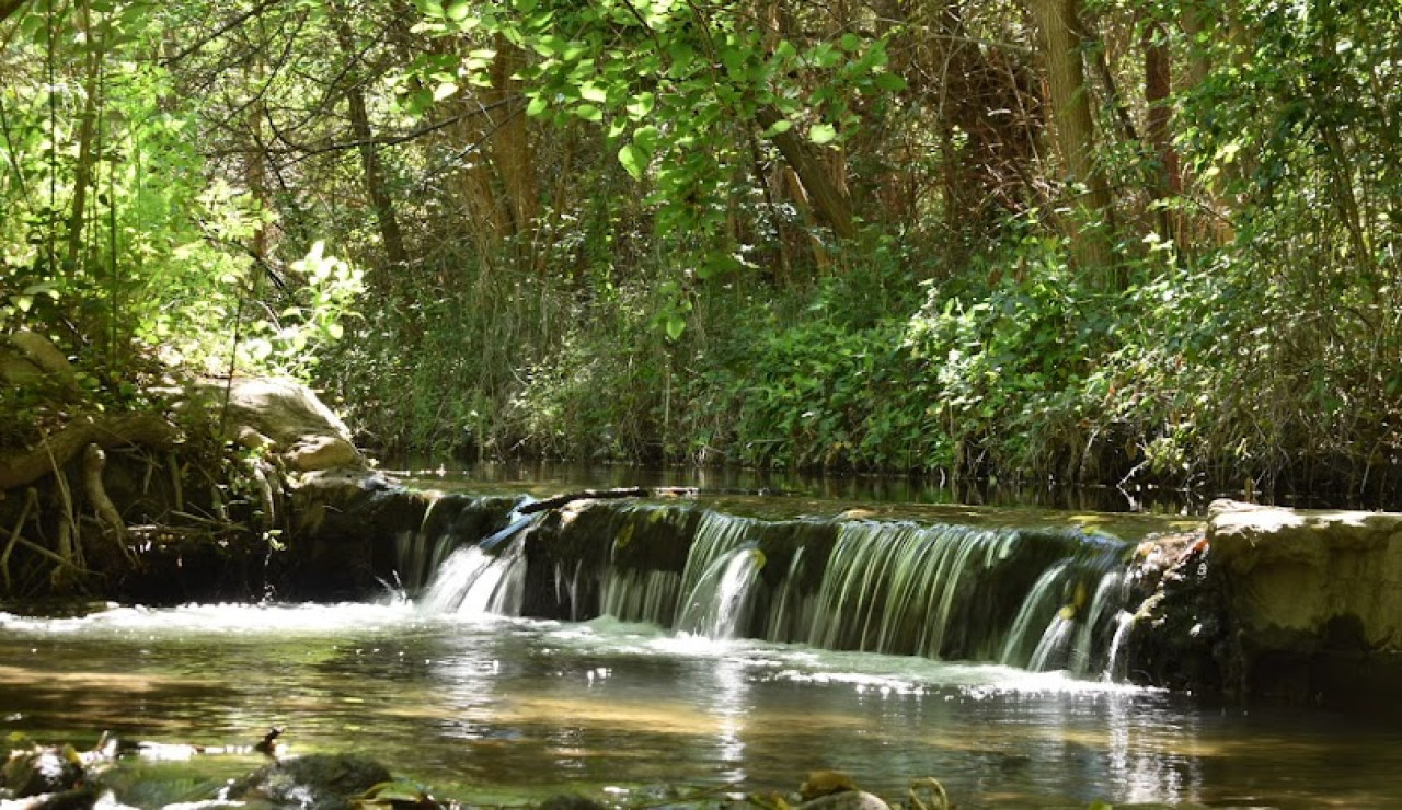 Villa de Las Rosas. Foto: captura Google Maps.