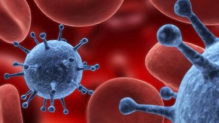 Celulas cancerígenas en sangre