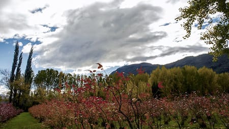 Comarca Andina. Foto: Télam