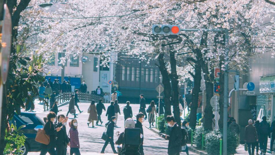 Población en Japón. Foto: Unsplash.