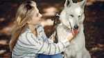 Impresionante hallazgo genético: los perros domésticos conservan ADN de lobo