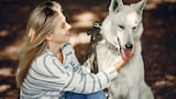 Impresionante hallazgo genético: los perros domésticos conservan ADN de lobo