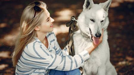 Impresionante hallazgo genético: los perros domésticos conservan ADN de lobo