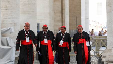 Cardenales electores que votarán en el próximo cónclave la elección del sucesor del papa Francisco. Foto: Reuters/Amanda Perobelli.