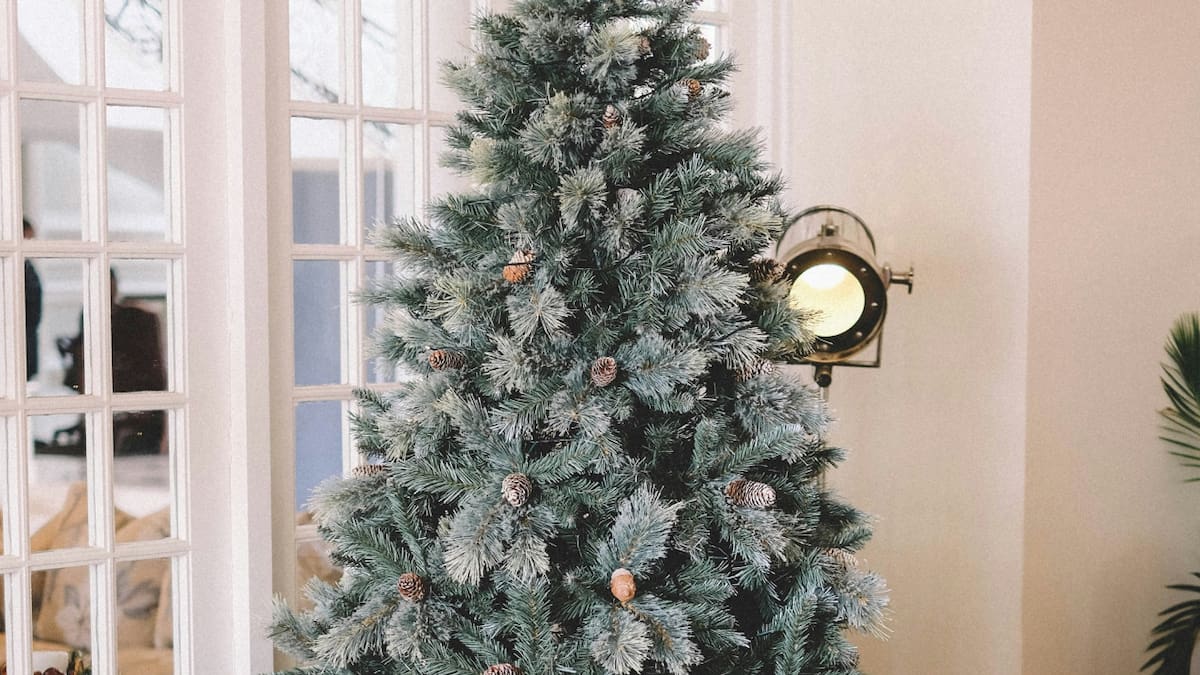 Árbol de Navidad. Foto Unsplash