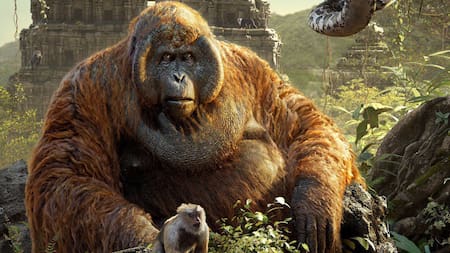 Simio Gigantopithcus. Foto: X