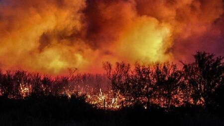 Incendios en Mendoza