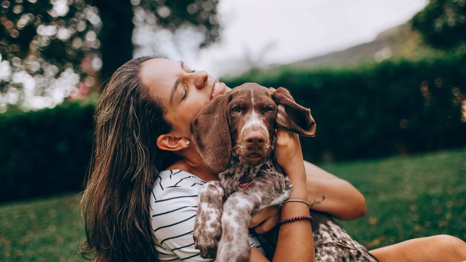 Crean una droga para alargar la vida de los perros. Foto: Unsplash