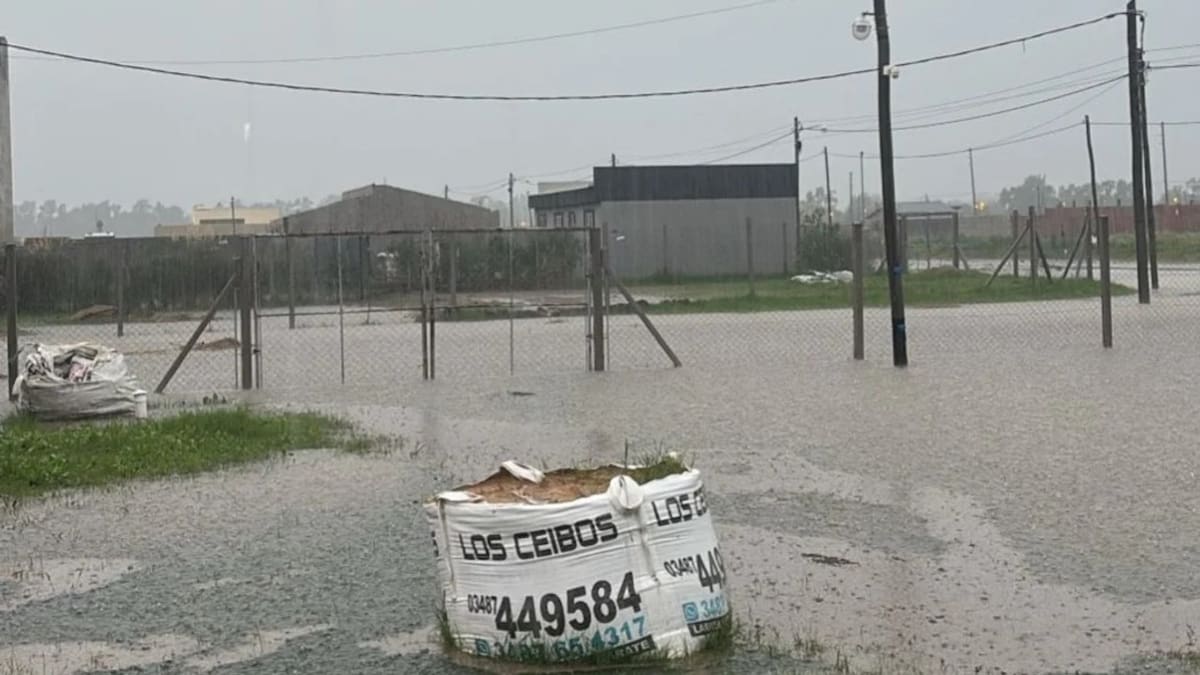 Temporal en la provincia de Buenos Aires. Foto: NA.
