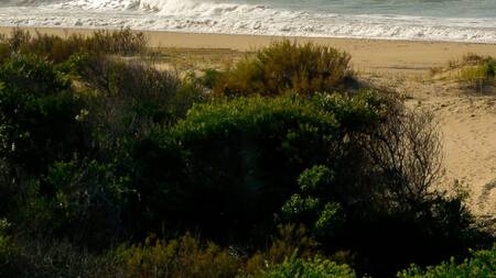 Para los amantes de la aventura, una gran alternativa es andar en bicicleta