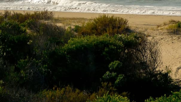 Cerca de Pinamar y Mar de las Pampas: la localidad balnearia con playas extensas y llenas de tranquilidad