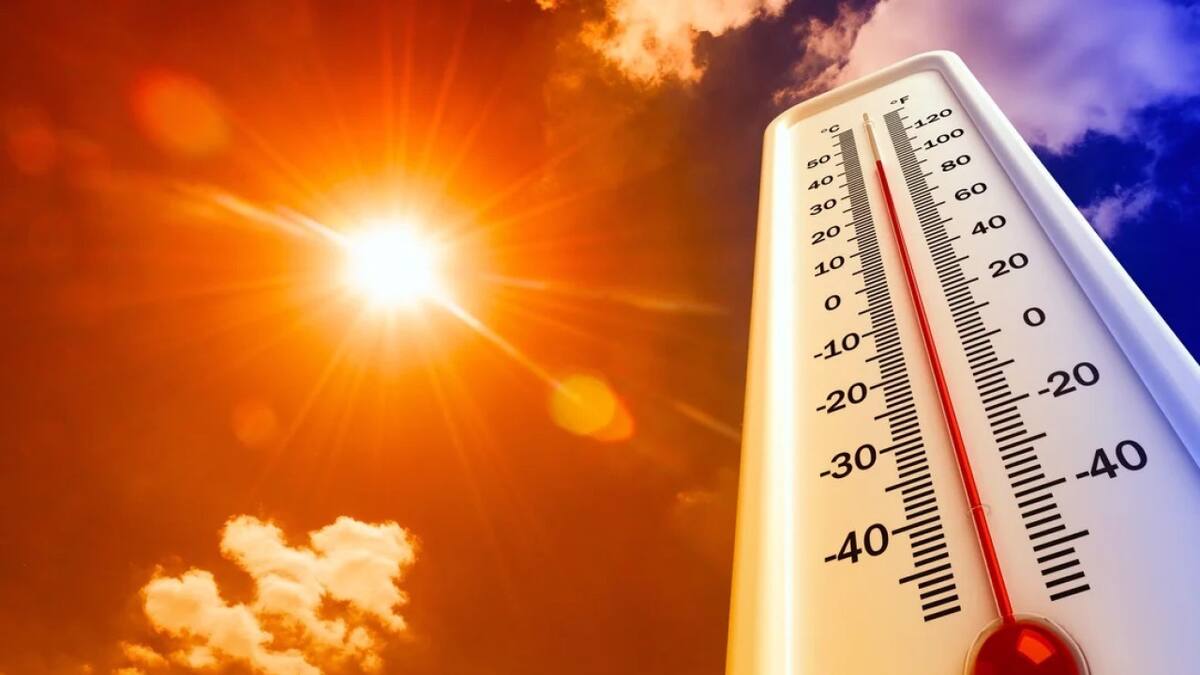 Ola de calor en la Argentina. Foto: NA.