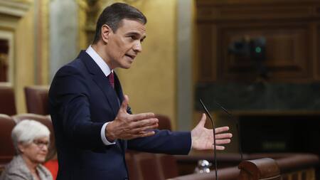 Pedro Sánchez. Foto: EFE.