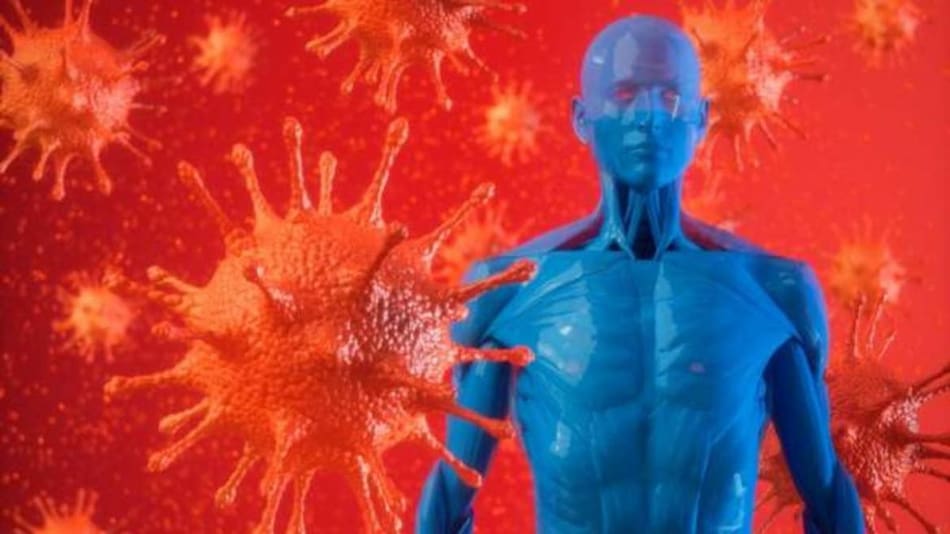 Sistema inmunológico contra el coronavirus