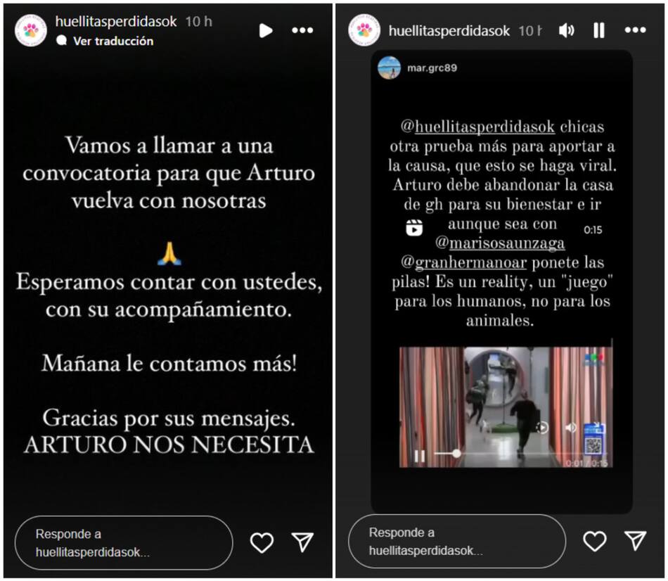 Huellitas Perdidas pide por la devolución de Arturo.